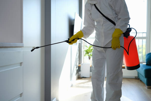 Best Forensic Mold Investigation  in El Macero, CA